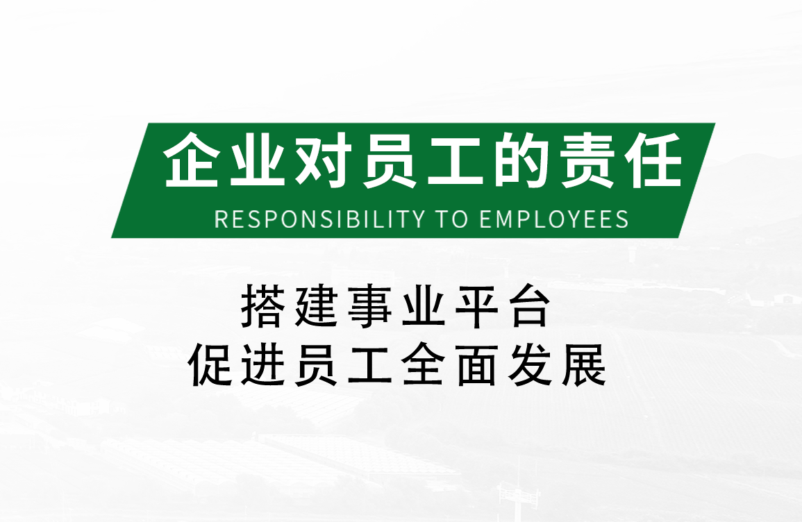 企业对员工的责任