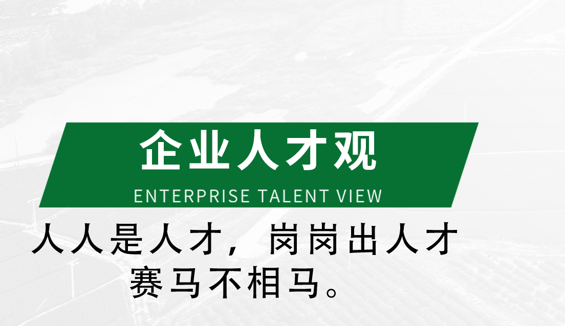 企业人才观