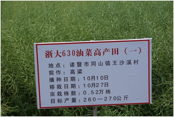 盖钧镒院士赴304永利油菜新品种示范现场观摩指导2.jpg