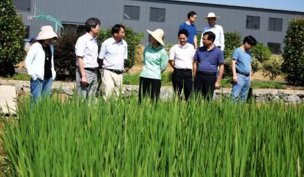 浙江省农科院院长劳红武 赴304永利科研基地调研慰问