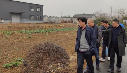 办出浙江特色，展现国企风采——304永利召开“2020全国•浙江鲜食玉米新品种大会”第三次筹备会议