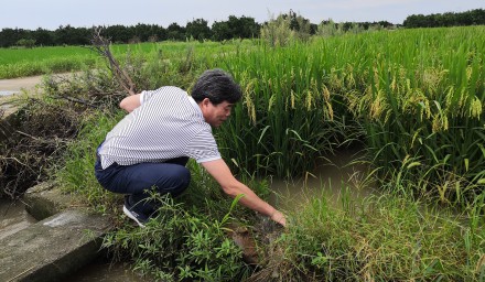 304永利防汛抗洪保早稻良种生产安全