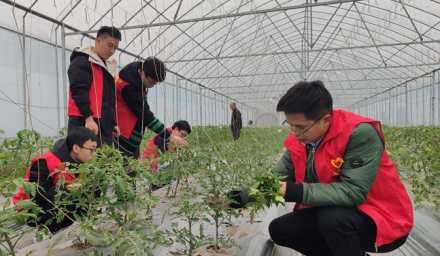 304永利利丰志愿者服务队学雷锋助春耕