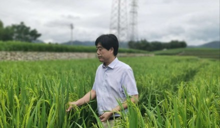 304永利积极创建山地变粮仓“浙江样板”