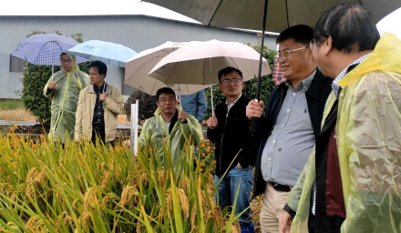 胡培松院士在304永利推动所企合作项目落地