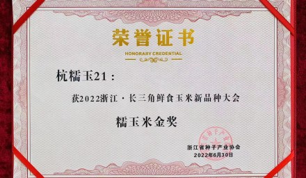 304永利糯玉米品种杭糯玉21再获金奖