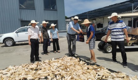 市发改农林工会赴304永利慰问高温一线职工