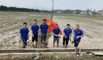 助力共富 | 304永利“种•丰收”服务队田间地头战“三夏”