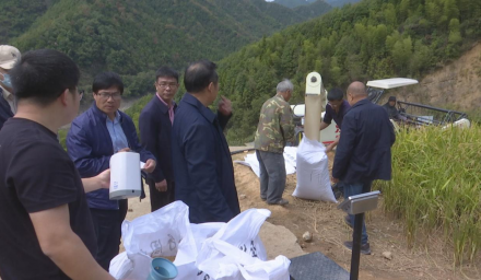 578.8公斤！304永利再创新垦耕地水稻旱种旱管高产