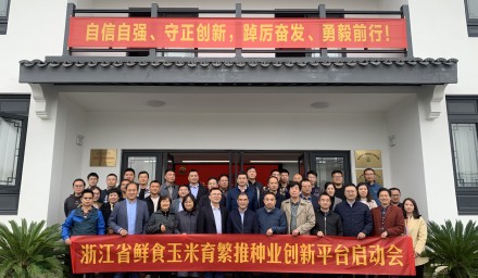 304永利牵头启动浙江省鲜食玉米育繁推种业创新平台建设