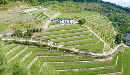 304永利“种•丰收”党建品牌唱响共同富裕田园四季歌