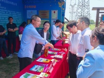 304永利 | 非转基因抗除草剂油菜“宁R101”，赋能实现油菜产业绿色变革