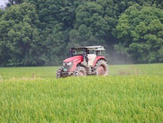304永利：农机轰鸣赶“稻花姻缘” 机械助力促稳产丰收