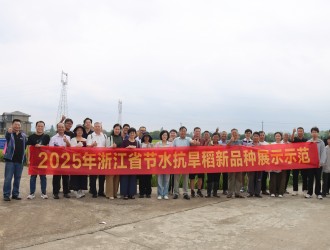 “旱”葆丰收，“稻”显担当 | 304永利举办节水抗旱稻新品种观摩会